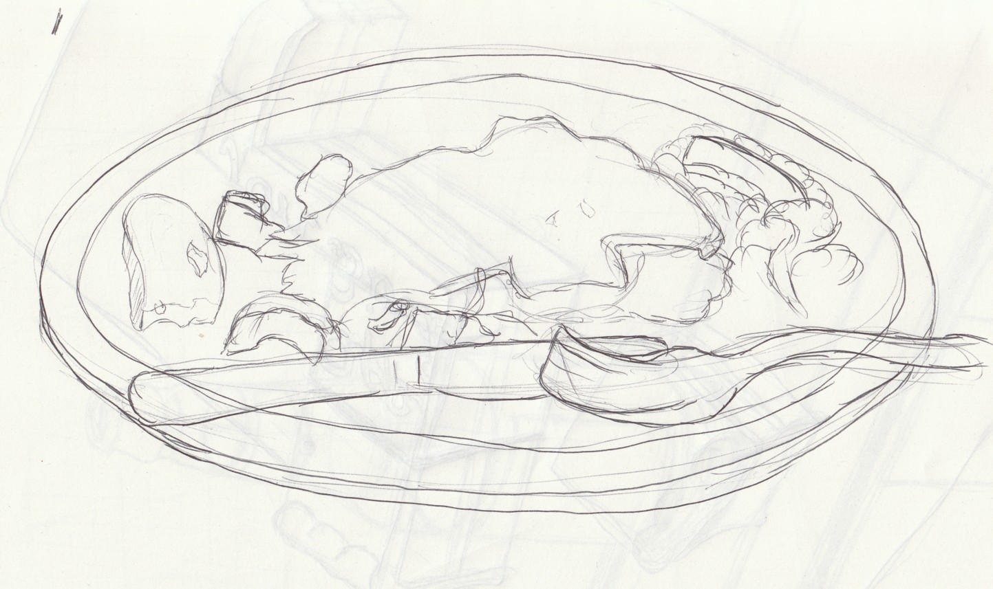 How To Draw Lasagna Sketch Coloring Page